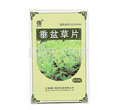 垂盆草片